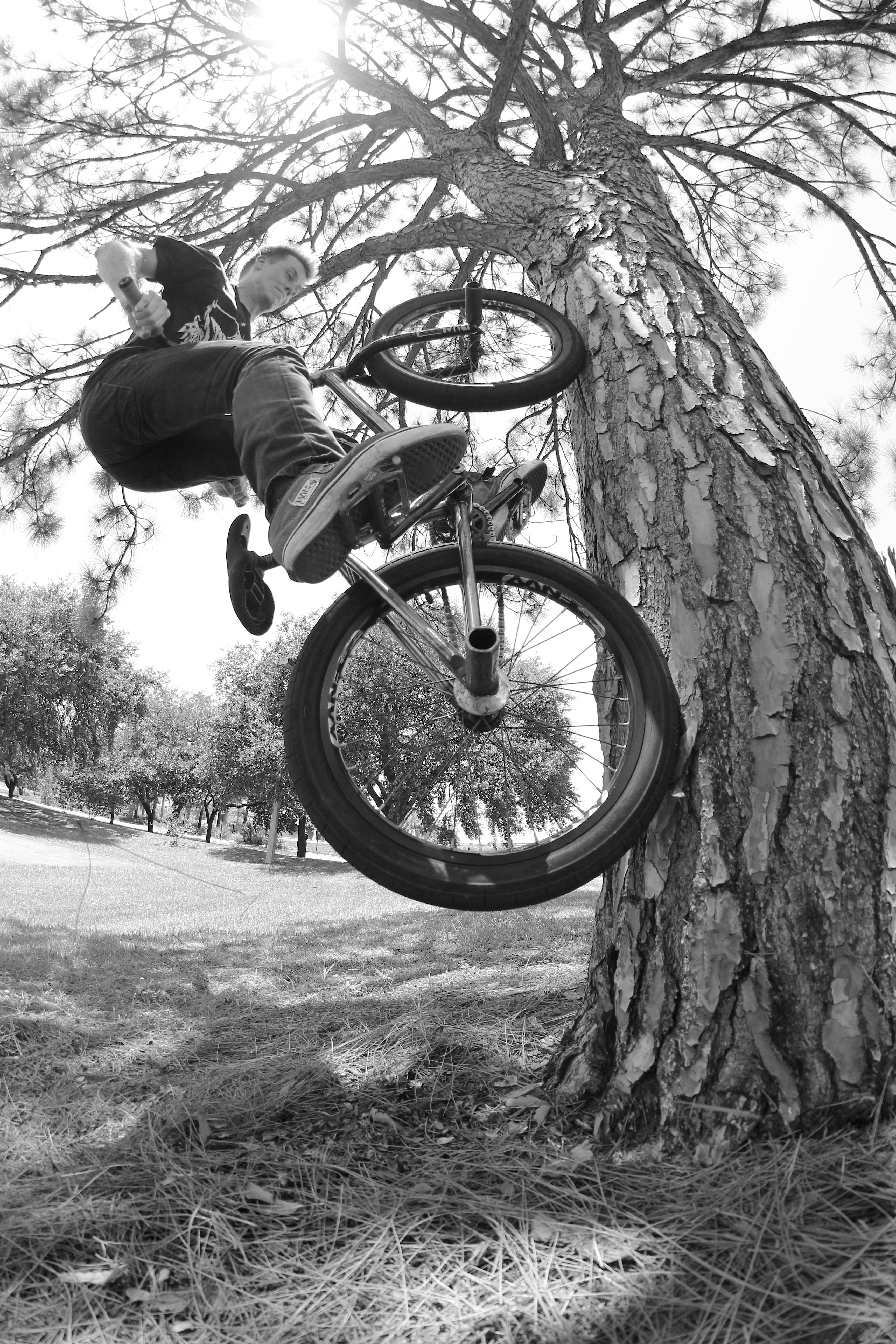 Scott Ehlert: Pine tree fakie amongst a terrible roll up and roll out.