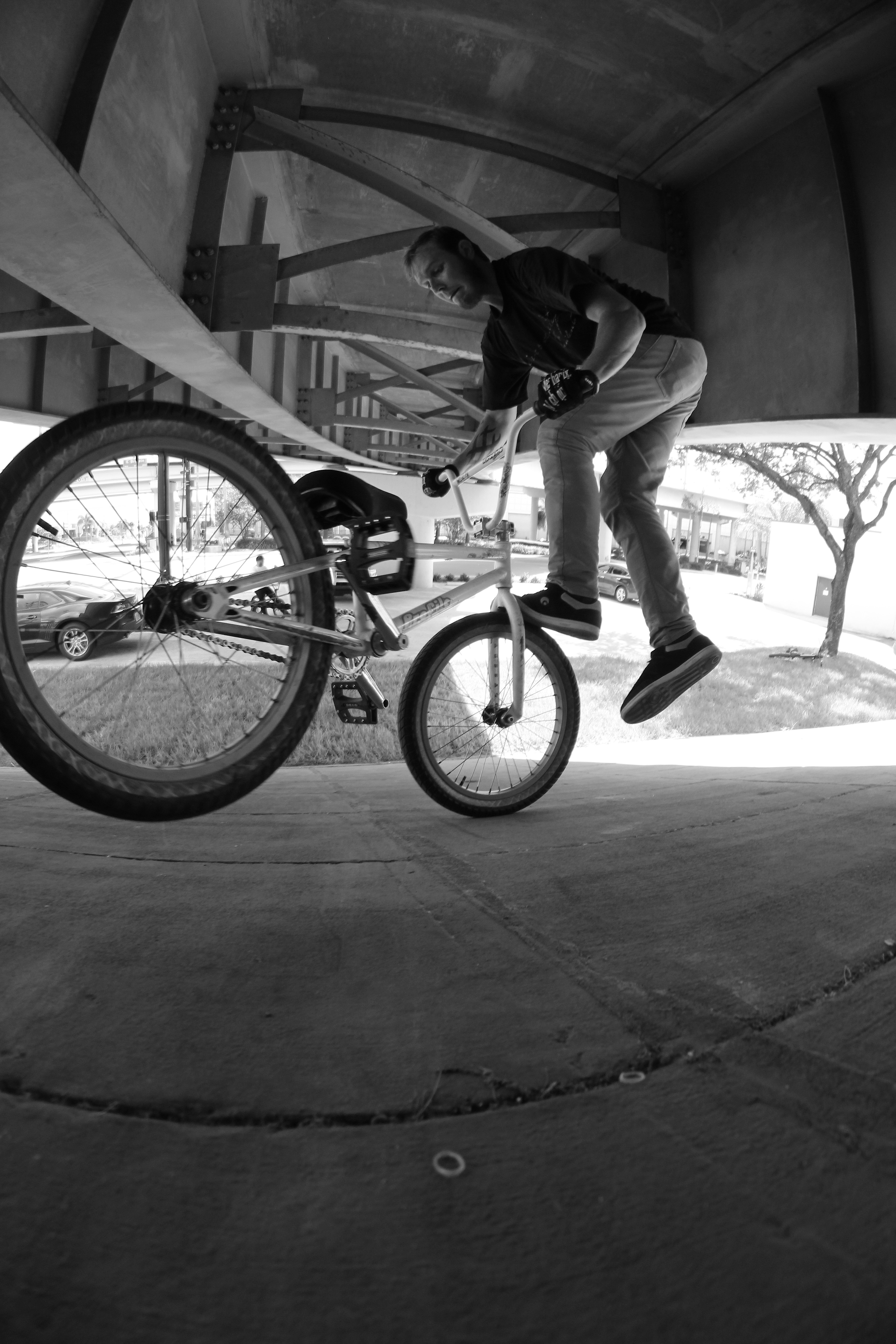 Thomas Sanders: Nosewhip on a freshly cleaned spot under an old bridge.